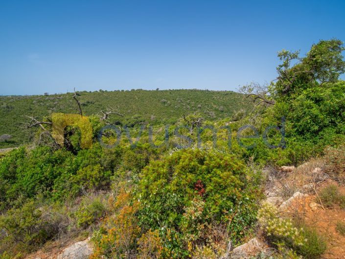 Image No.18-Plot for sale