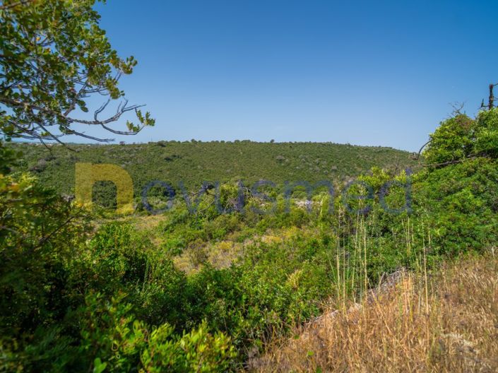 Image No.19-Plot for sale