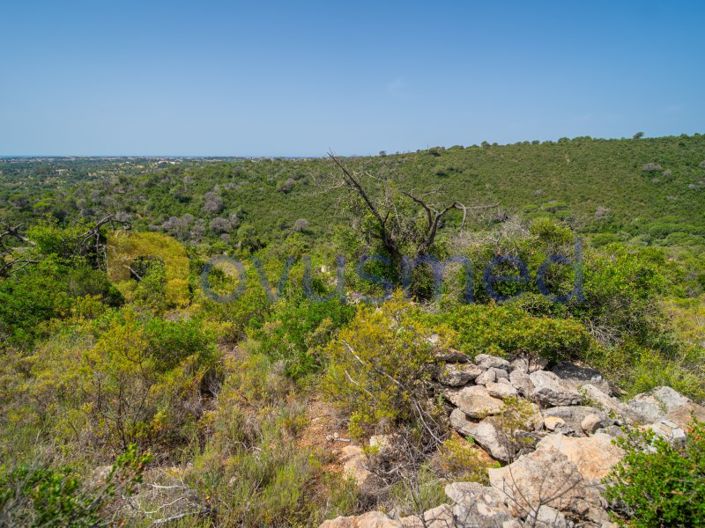 Image No.21-Plot for sale
