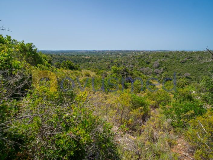 Image No.22-Plot for sale
