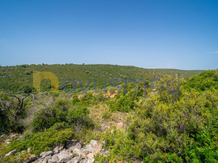 Image No.23-Plot for sale