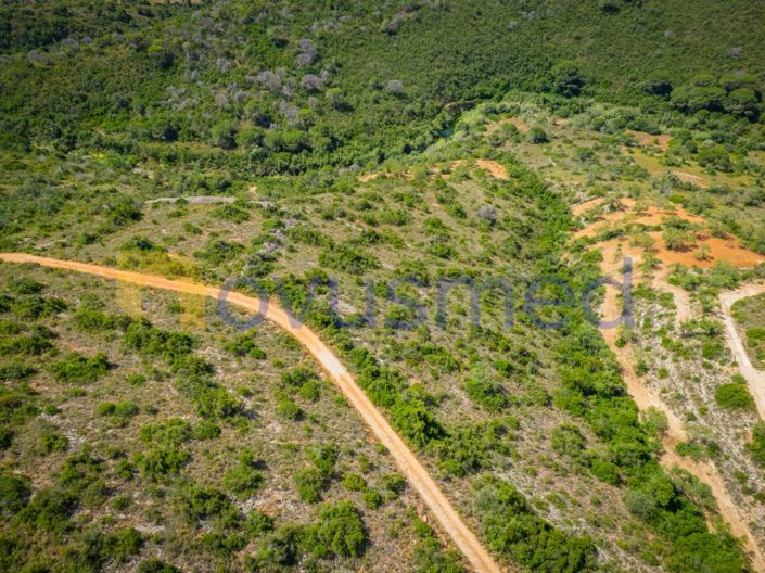 Image No.8-Plot for sale