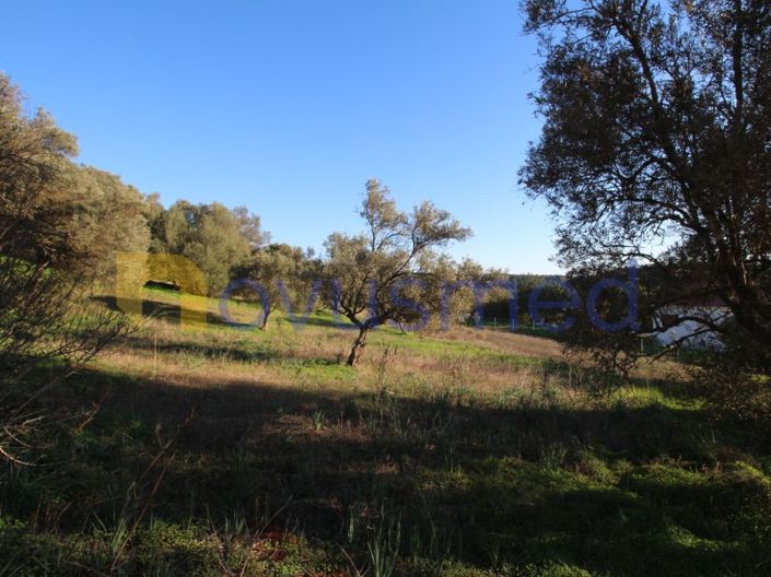 Image No.11-Plot for sale
