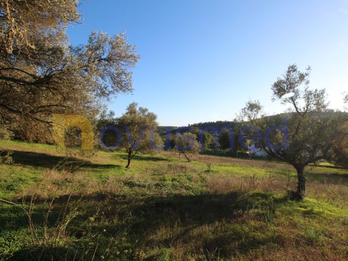 Image No.12-Plot for sale