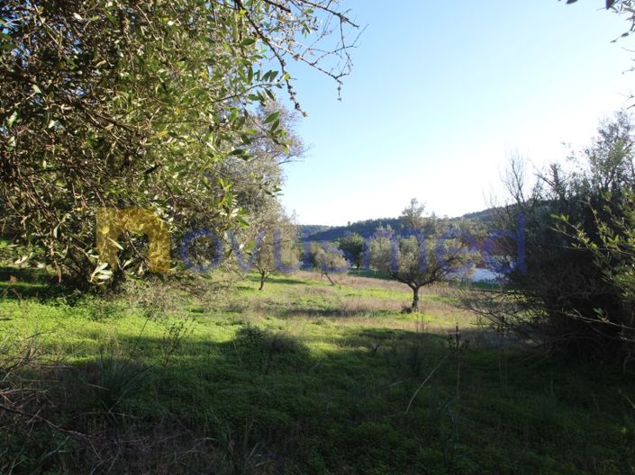 Image No.13-Plot for sale