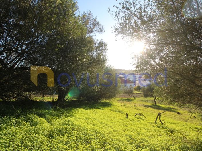 Image No.14-Plot for sale
