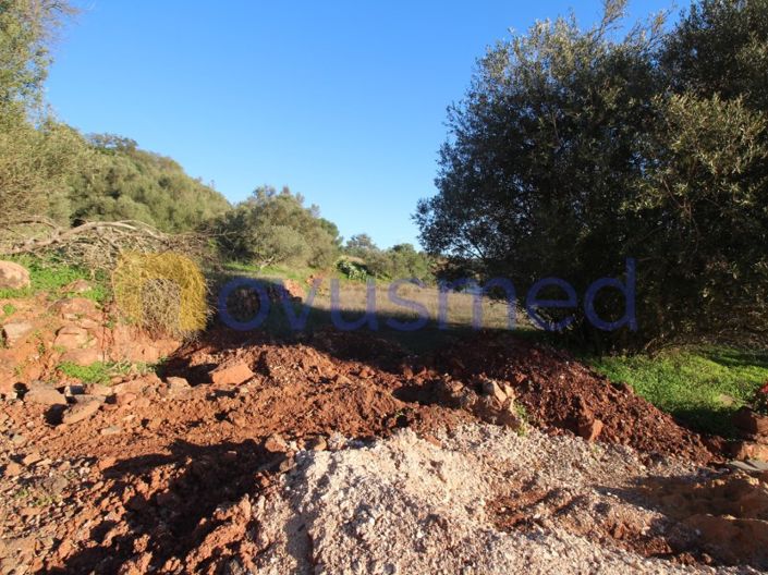 Image No.17-Plot for sale