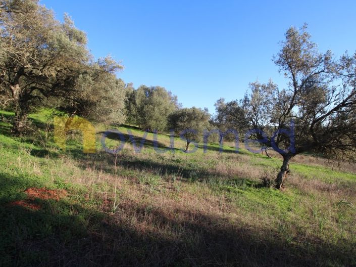 Image No.18-Plot for sale