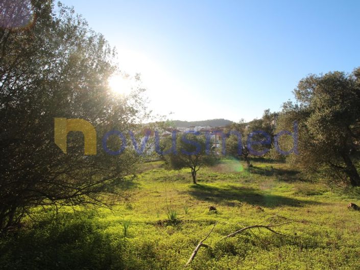 Image No.19-Plot for sale