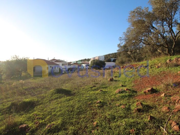 Image No.2-Plot for sale