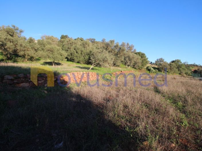 Image No.24-Plot for sale