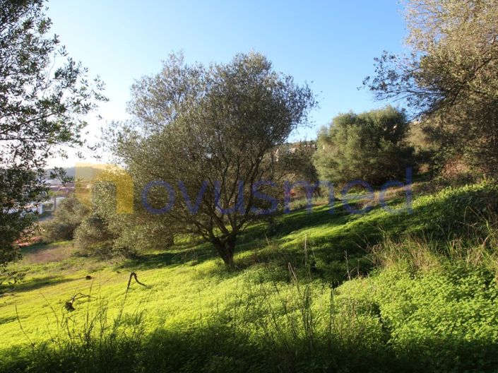 Image No.25-Plot for sale