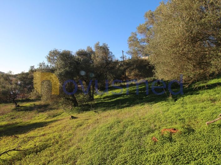 Image No.26-Plot for sale