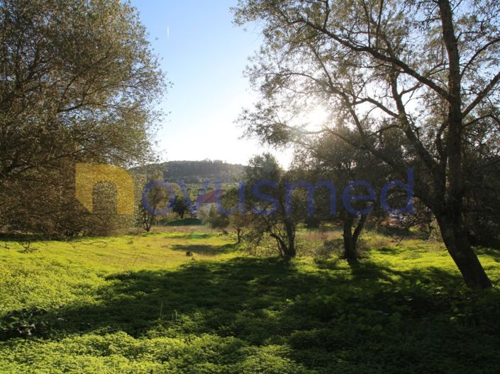 Image No.27-Plot for sale
