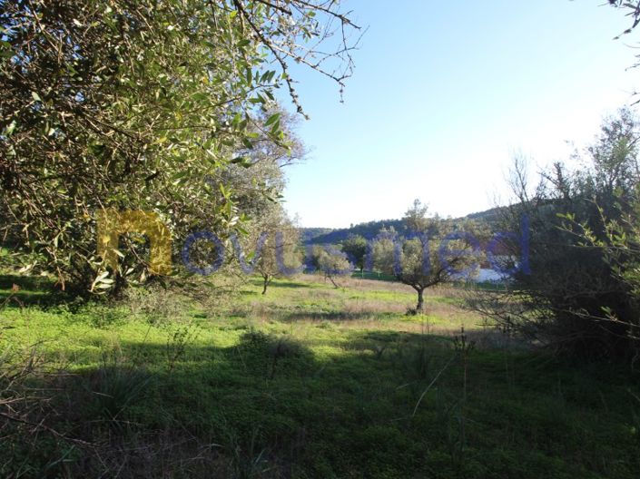 Image No.4-Plot for sale