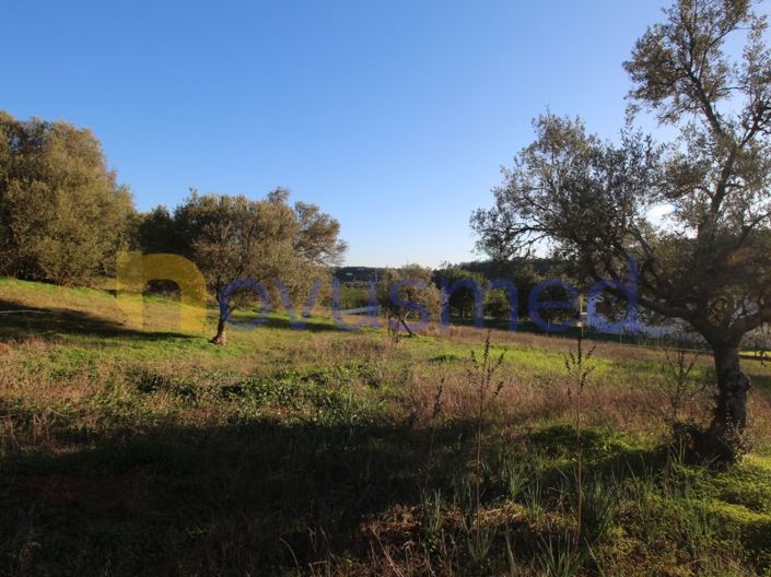 Image No.7-Plot for sale