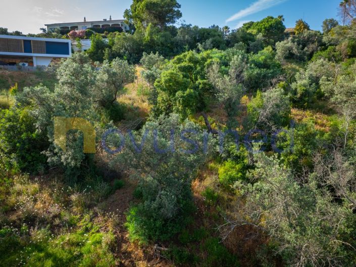 Image No.28-Plot for sale