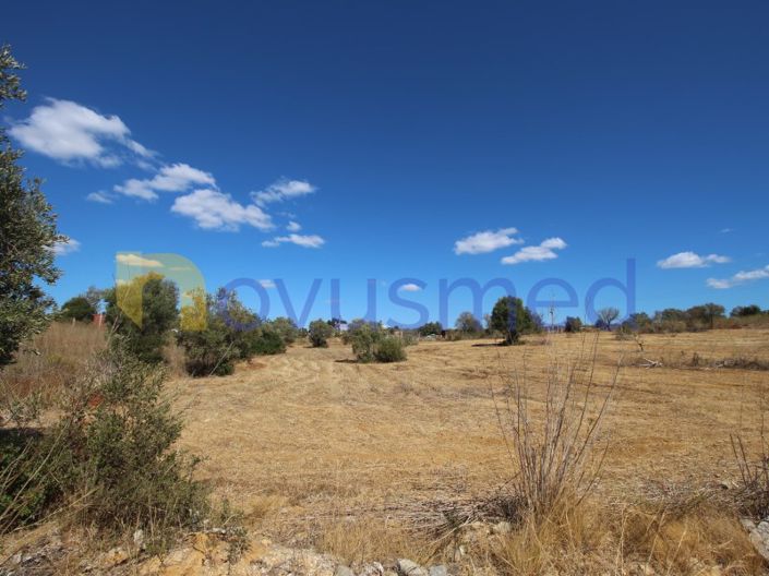 Image No.2-Plot for sale
