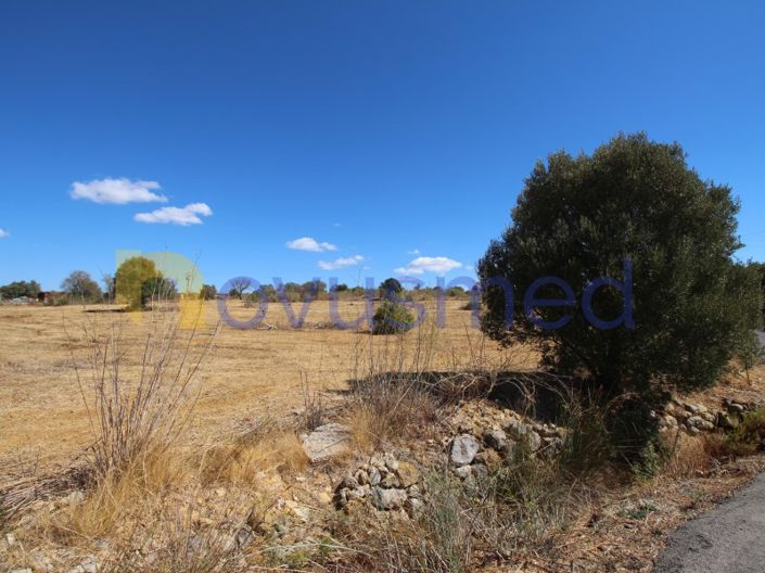 Image No.4-Plot for sale