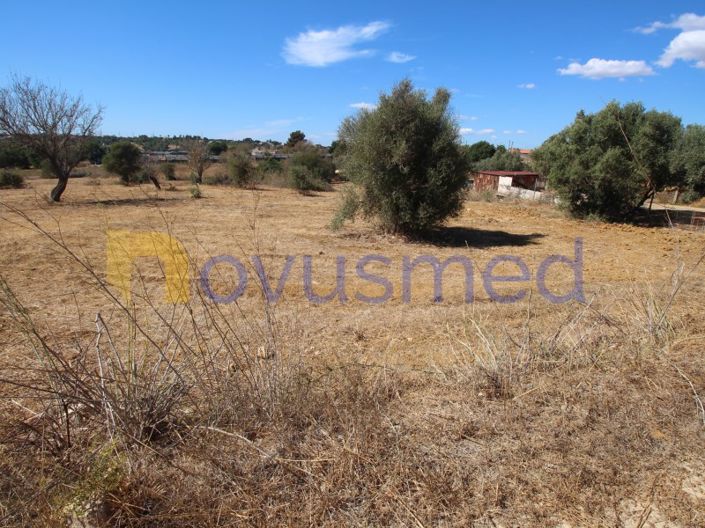 Image No.7-Plot for sale
