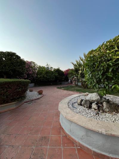 Image No.4-1 Bed Apartment for sale