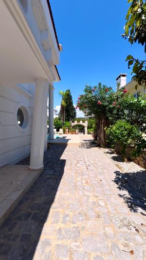 Image No.5-4 Bed Villa for sale