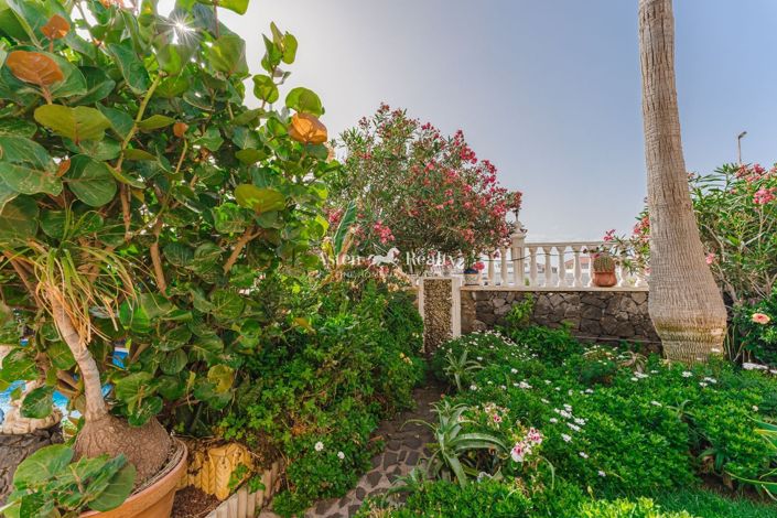 Image No.4-Propriété de 15 chambres à vendre à El Medano