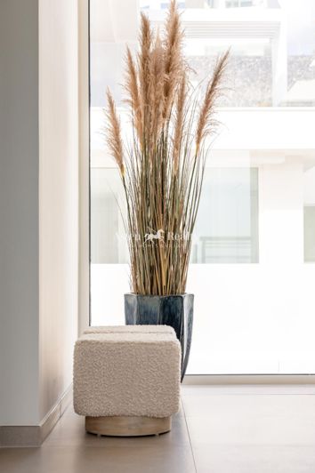 Image No.47-Villa de 5 chambres à vendre à San Eugenio Alto