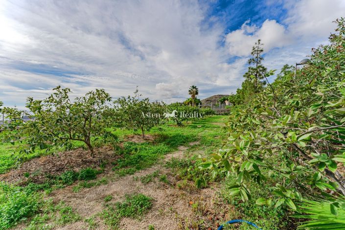 Image No.44-Terrain à vendre à San Miguel