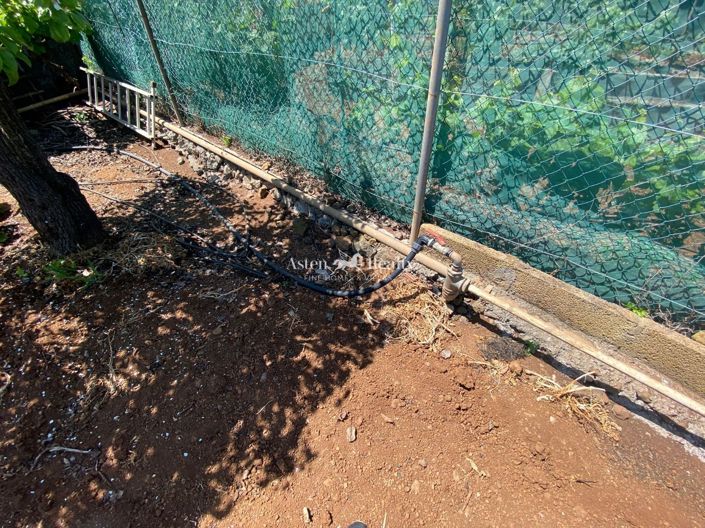 Image No.10-Terrain à vendre à El Sauzal