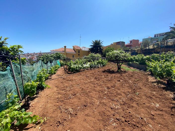 Image No.11-Terrain à vendre à El Sauzal