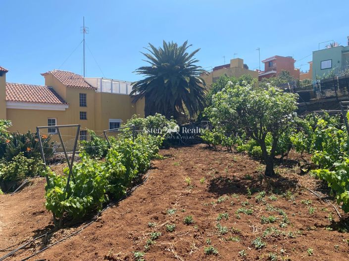 Image No.12-Terrain à vendre à El Sauzal