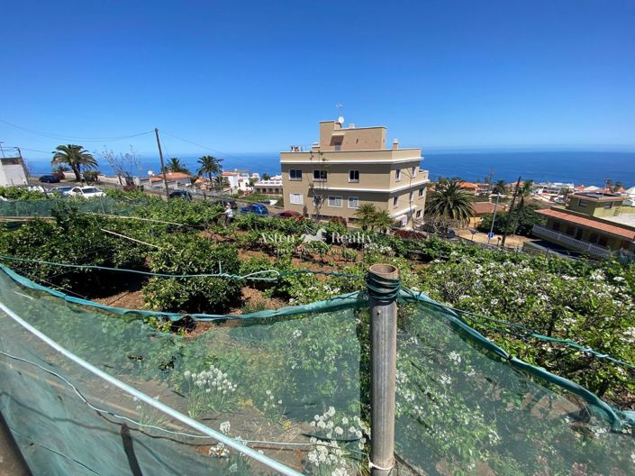 Image No.6-Terrain à vendre à El Sauzal