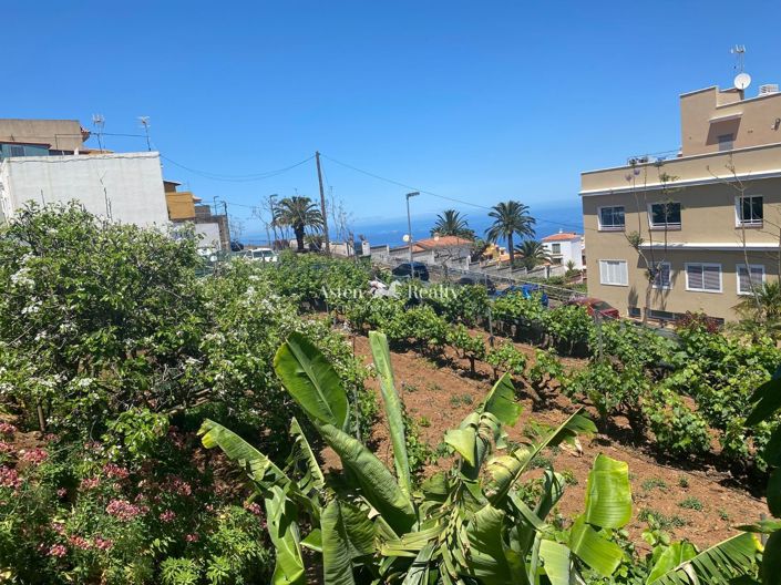 Image No.8-Terrain à vendre à El Sauzal