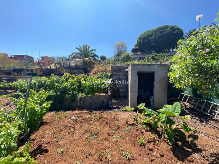 Image No.9-Terrain à vendre à El Sauzal