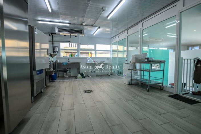 Image No.11-Propriété à vendre à Guargacho