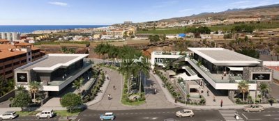 1 - Playa Paraiso, Property