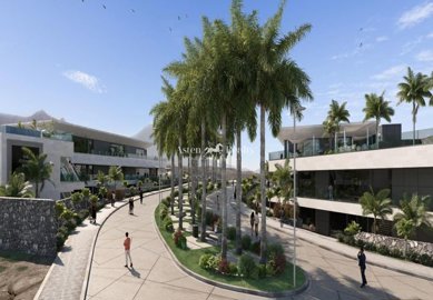 1 - Playa Paraiso, Property
