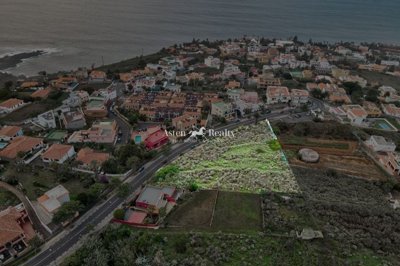 10687103