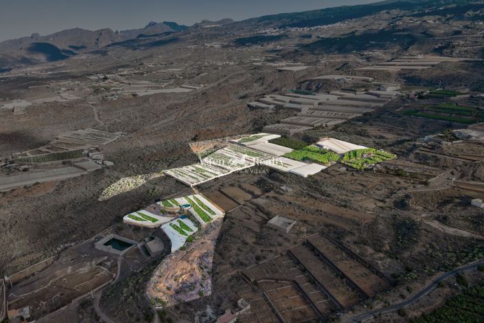 Image No.4-Terrain à vendre à Guia de Isora