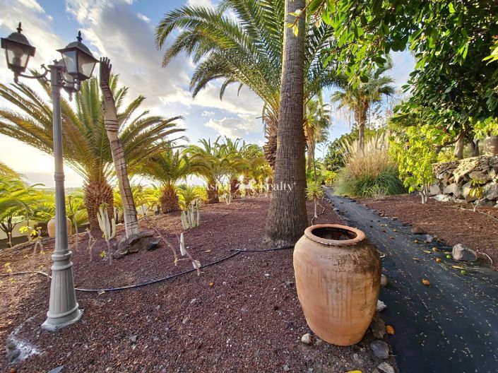 Image No.15-Villa de 9 chambres à vendre à Alcala