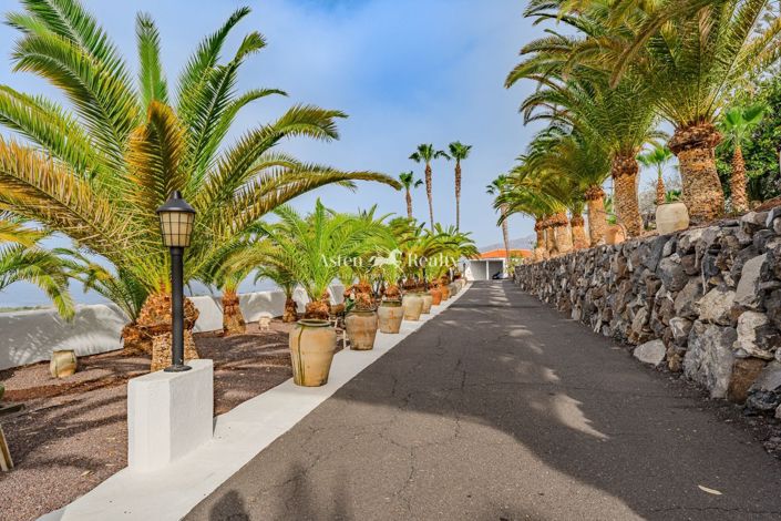 Image No.64-Villa de 9 chambres à vendre à Alcala