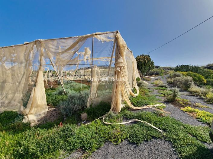 Image No.12-Plot for sale