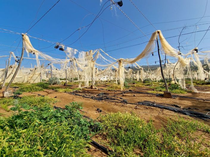 Image No.23-Terrain à vendre à Alcala