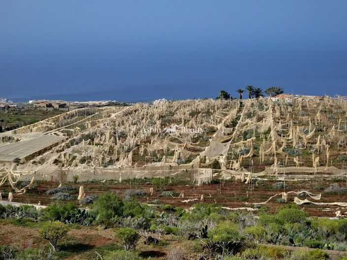 Image No.9-Terrain à vendre à Alcala