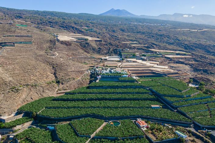 Image No.28-Terrain à vendre à Guia de Isora