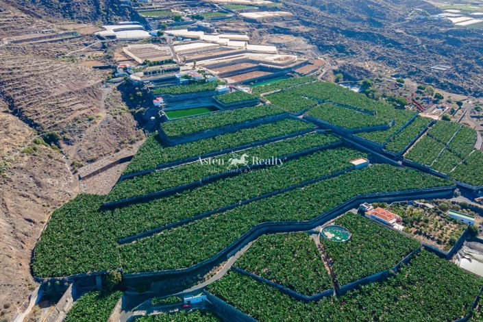 Image No.30-Terrain à vendre à Guia de Isora