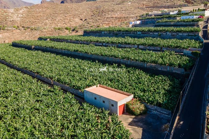 Image No.31-Terrain à vendre à Guia de Isora