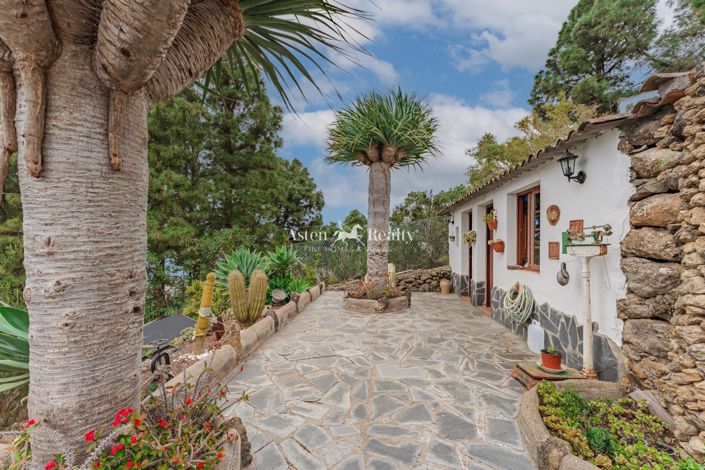 Image No.51-Maison de 4 chambres à vendre à Icod de los Vinos