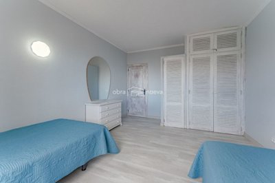 16446187